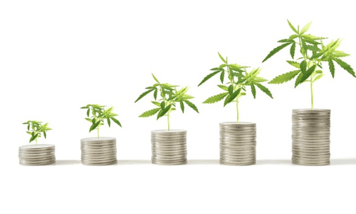 invierte en indice de canabis
acciones mariguana
invertir en marihuana
acciones marihuana medicinal
invertir en acciones de cannabis medicinal